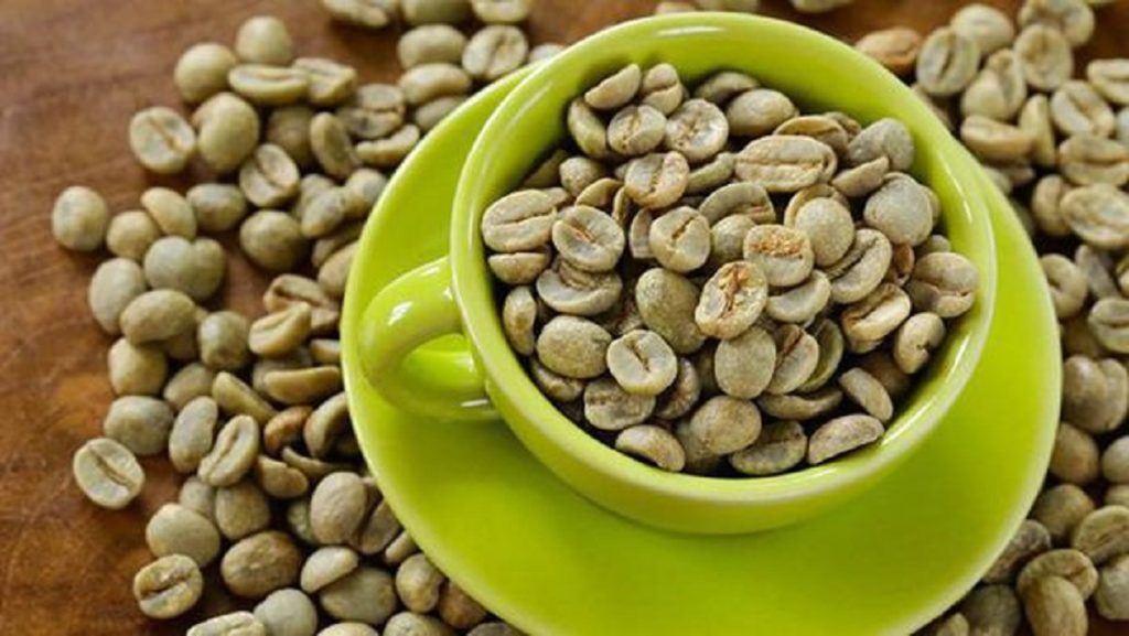 cara menyeduh kopi hijau