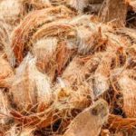 Pada kesempatan kali ini saya akan menjelaskan tentang Manfaat Sabut Kelapa Untuk Diri Sendiri Maupun Orang Lain, jadi simak sampai habis agar kalian dapat memahaminya