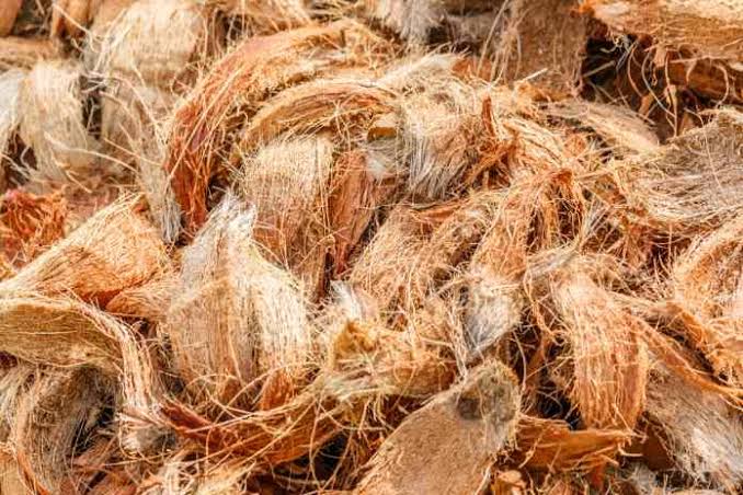 Pada kesempatan kali ini saya akan menjelaskan tentang Manfaat Sabut Kelapa Untuk Diri Sendiri Maupun Orang Lain, jadi simak sampai habis agar kalian dapat memahaminya
