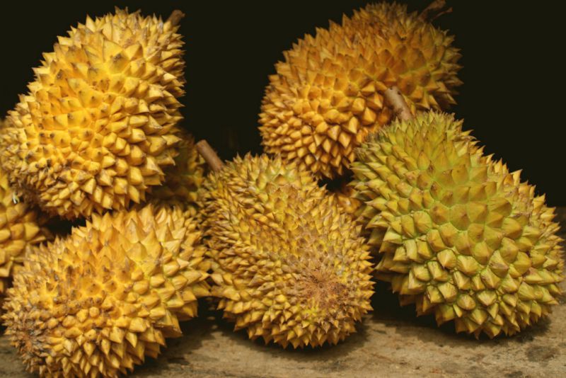 resep selai durian serabi
