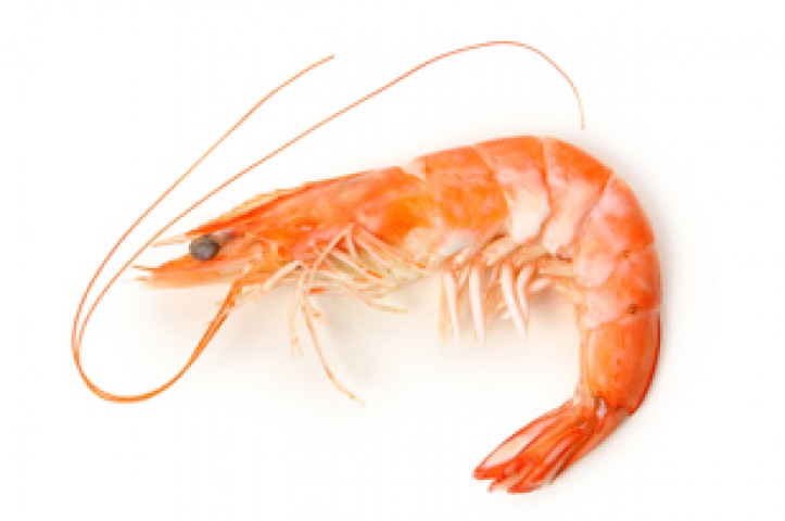 resep udang crispy pedas