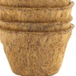 Fungsi Sabut Kelapa