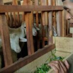 usaha di masa pensiun