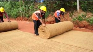 coir geotextiles in roads