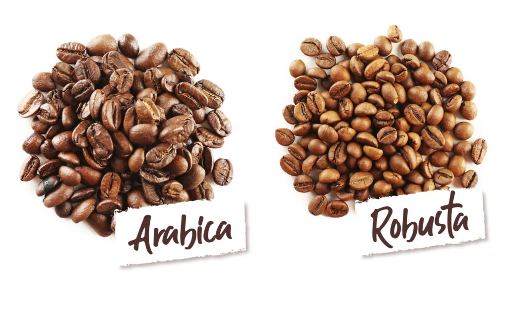 beda robusta dan arabika