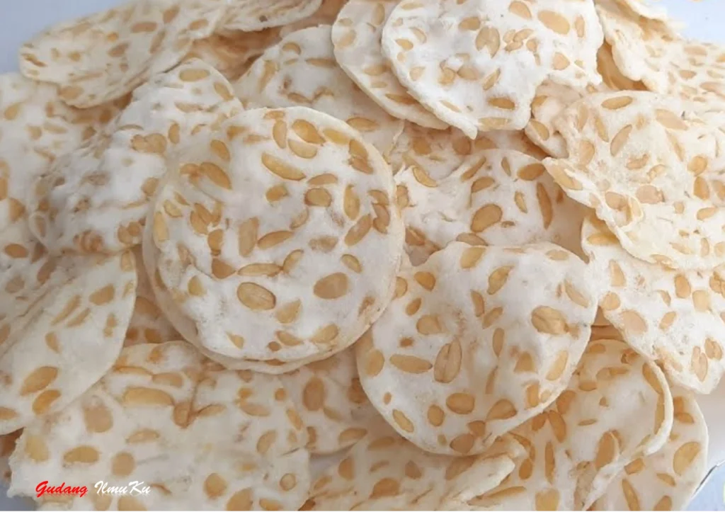 ide usaha keripik tempe
