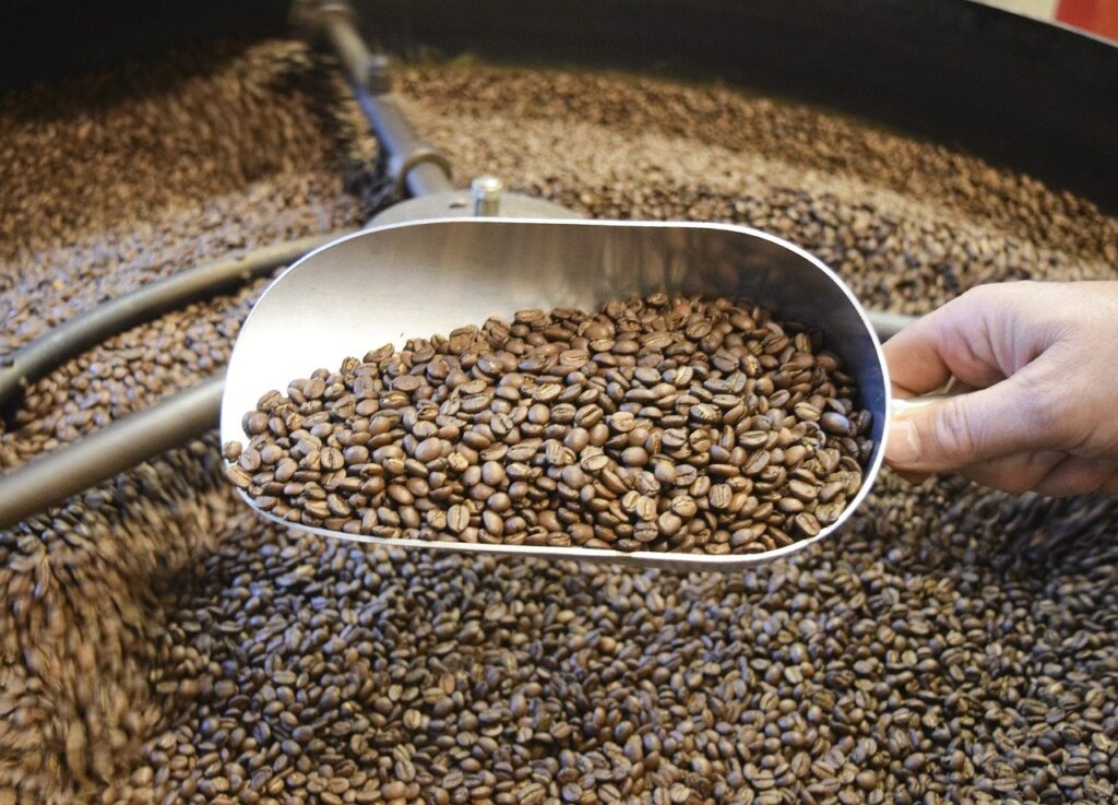cara mengolah biji kopi secara tradisiona