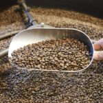 cara mengolah biji kopi secara tradisiona