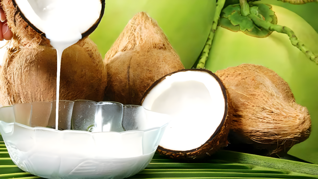 tips usaha santan