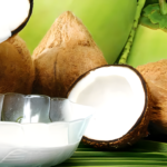 tips usaha santan