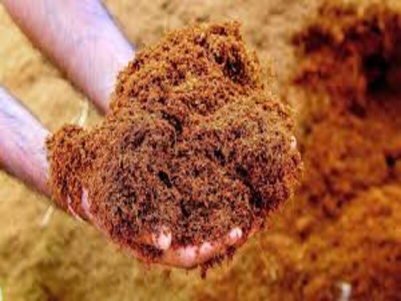 Produksi Cocopeat untuk Media Tanam, Peluang Bisnis yang Semakin Dilirik