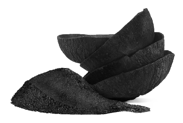 Unveiling the Hidden Advantages of Coconut Charcoal