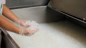 nata de coco