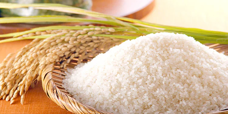 Produksi Beras Skala Kecil