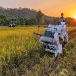 mesin panen padi modern