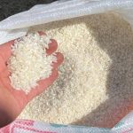 Produksi Beras Skala Kecil