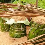 Metode Produksi Sagu Modern dan Inovasi Pengolahan Pati
