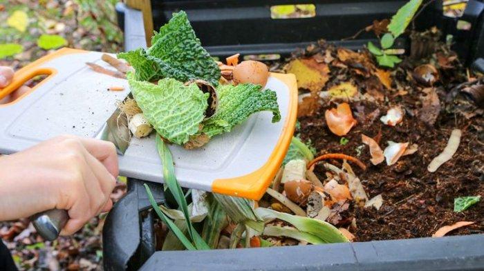 Pemanfaatan sisa bahan olahan