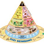 gizi seimbang untuk anak sekolah