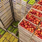 optimalisasi rute distribusi makanan