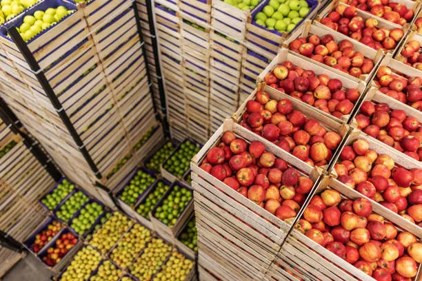 optimalisasi rute distribusi makanan