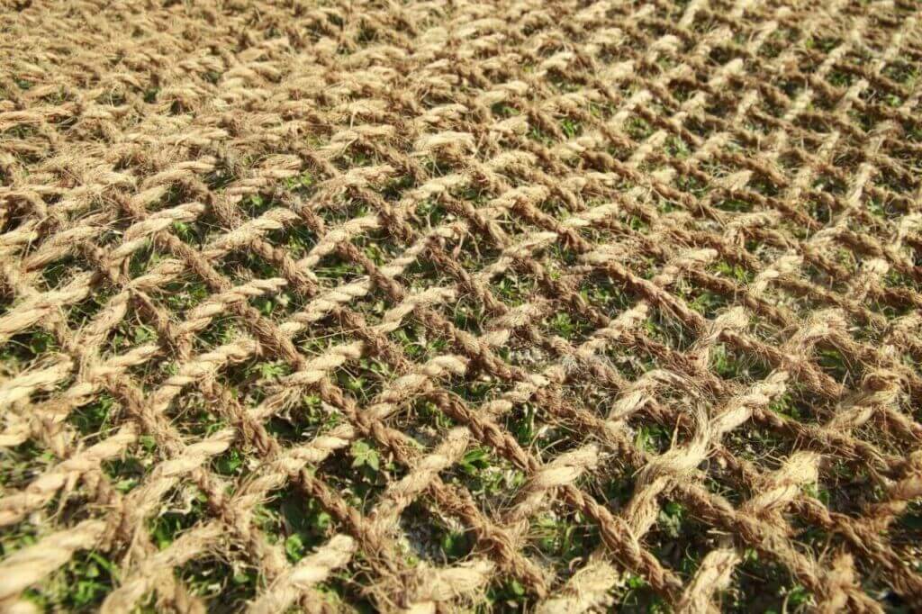 Penggunaan Cocomesh dalam Proyek Hijau Nasional