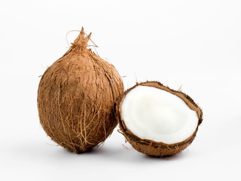 alat bantu bikin santan segar