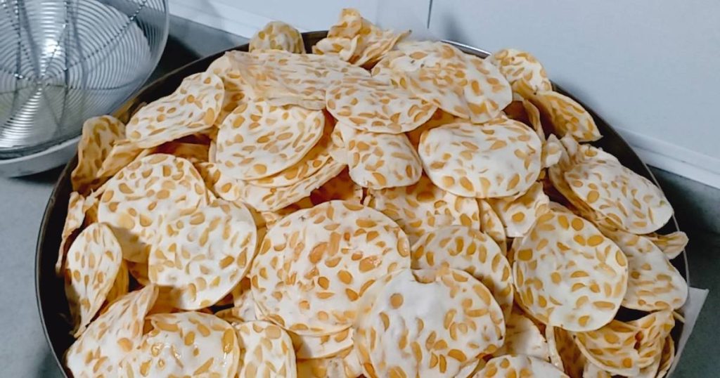 solusi cepat produksi keripik tempe