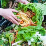 tips pengolahan sampah organik