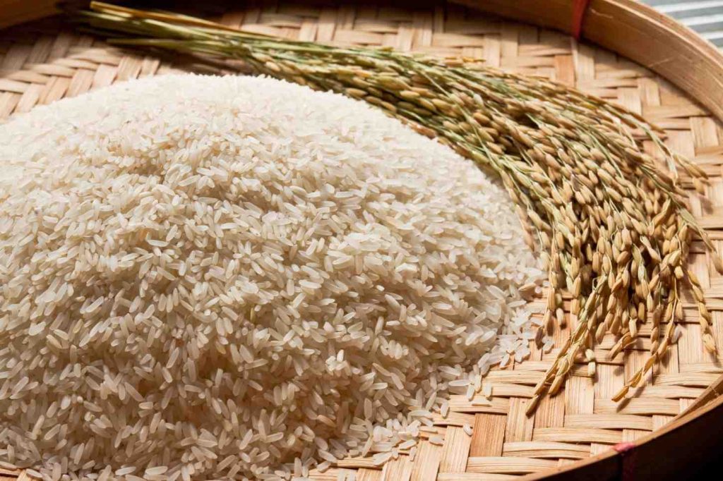 Fungsi Alat Perontok Padi dalam Proses Pascapanen