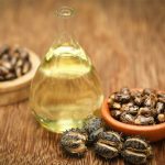 panduan produksi minyak jarak berkualitas tinggi