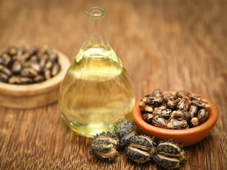 panduan produksi minyak jarak berkualitas tinggi
