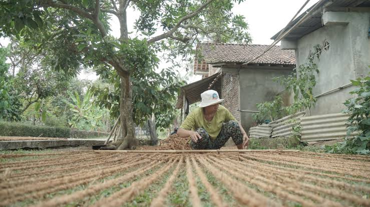 cocomesh-untuk-perkebunan-dan-kehutanan