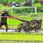 mengolah tanah sawah lebih cepat