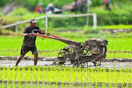 mengolah tanah sawah lebih cepat