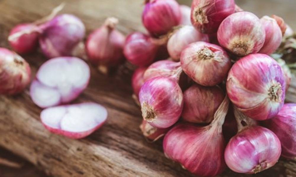 cara menjaga kebersihan bahan pangan selama proses produksi