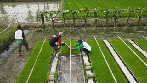penyesuaian teknologi pertanian dengan kebutuhan petani